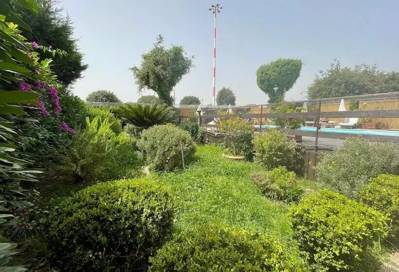 هتل Capodichino International