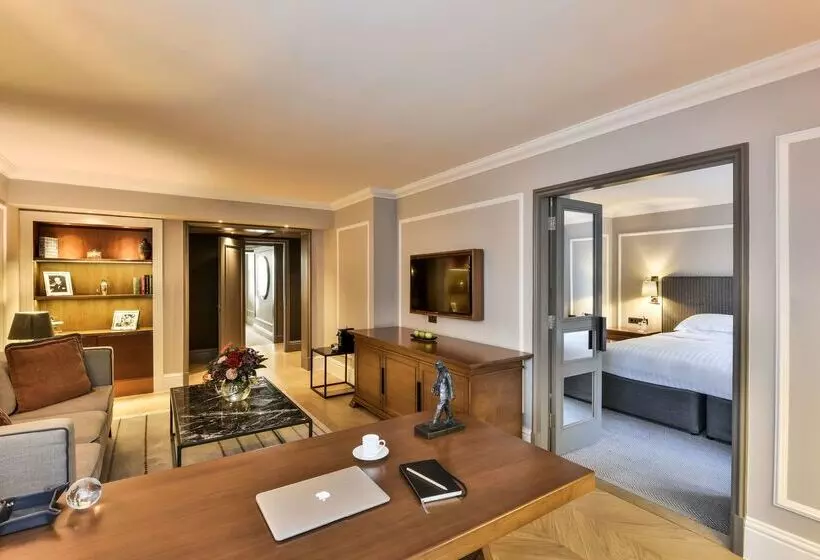 酒店 Hyatt Regency London The Churchill