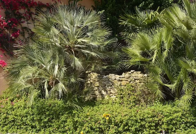 בית מלון כפרי Residence Oasis