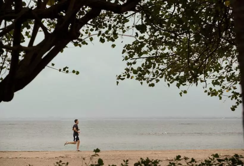 Hotel The Patra Bali Resort & Villas   Chse Certified