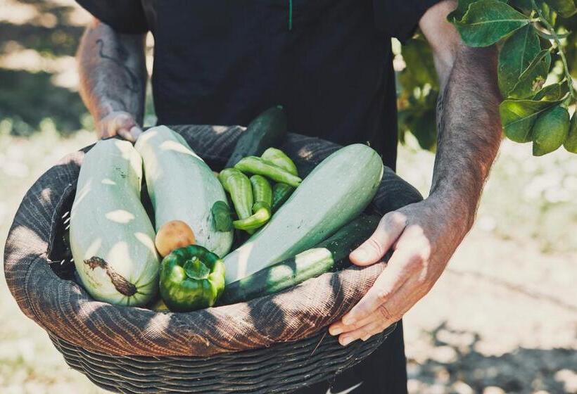 渡假胜地  Yria Island Boutique Hotel & Spa