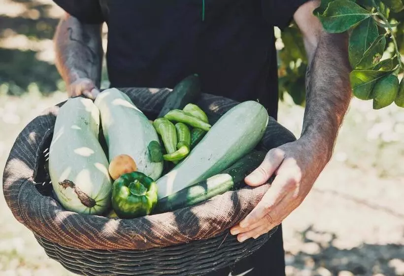 منتجع Yria Island Boutique Hotel & Spa