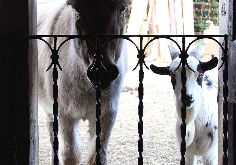 Agriturismo Borgo Laurice