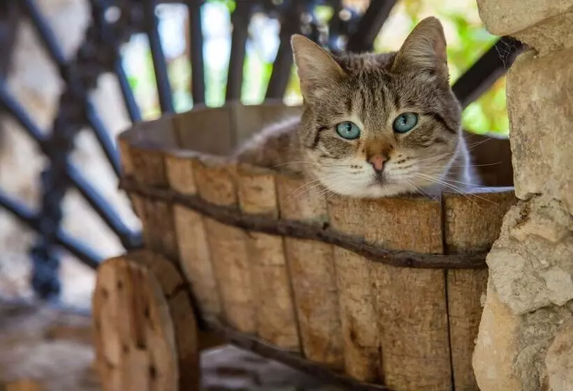 Aamiaismajoitus (B&B) Casa Go'el