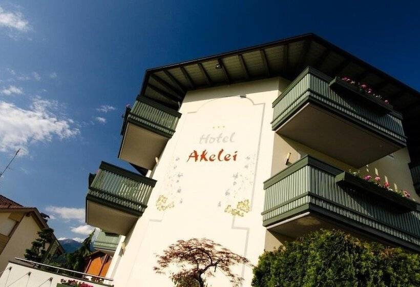 בית מלון כפרי Akelei