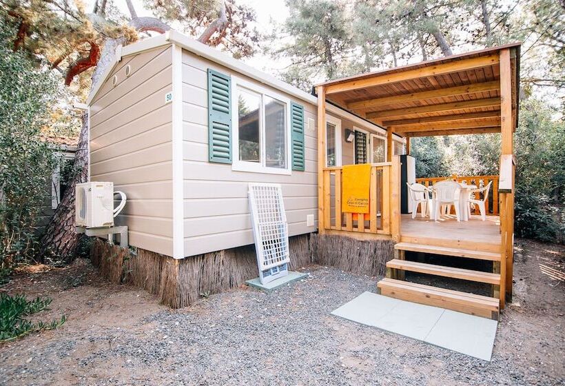 בית מלון כפרי Camping Casa Di Caccia