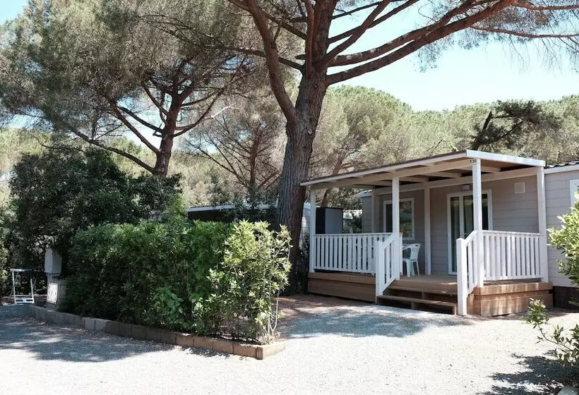 ホテル Camping Casa Di Caccia