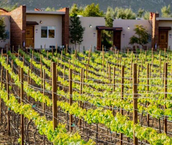 호텔 Ojo Azul Resort