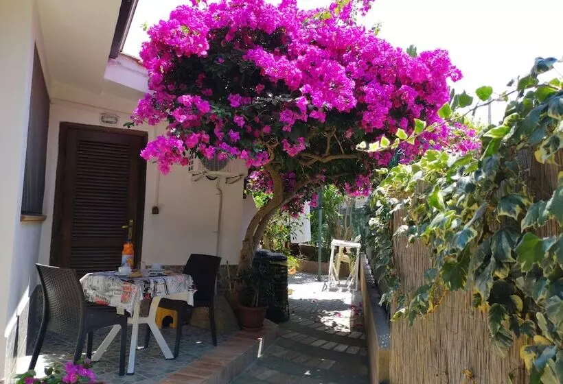 B&b Baia Di Riaci Tropea