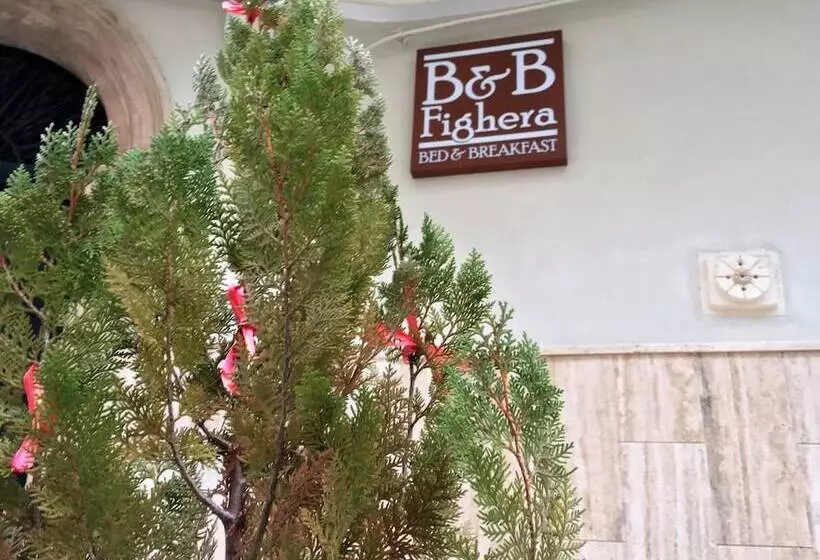 B&b Fighera