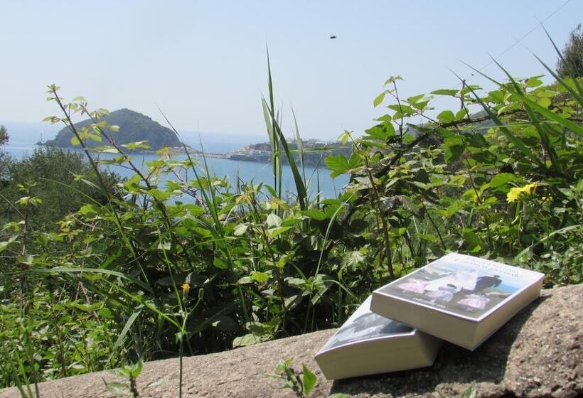 فندق Casa Antonio