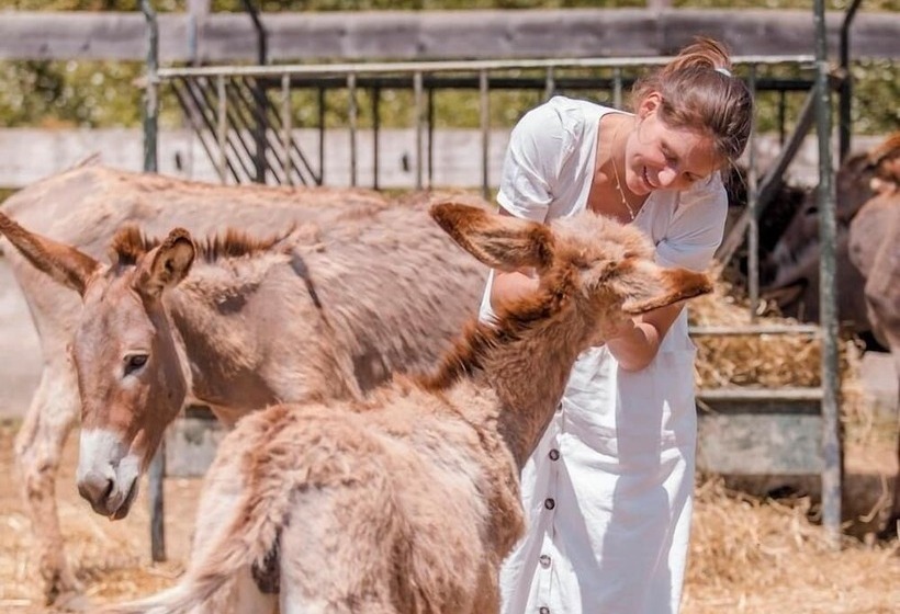 Сельский отель Fattoria Di Maiano