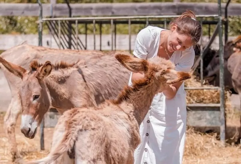 هتل روستایی Fattoria Di Maiano