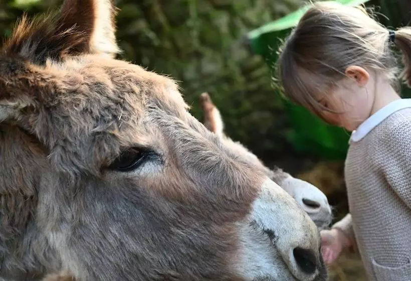 هتل روستایی Fattoria Di Maiano