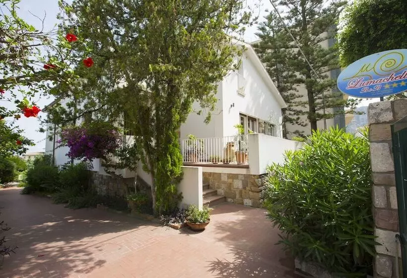 Lumachella B&b