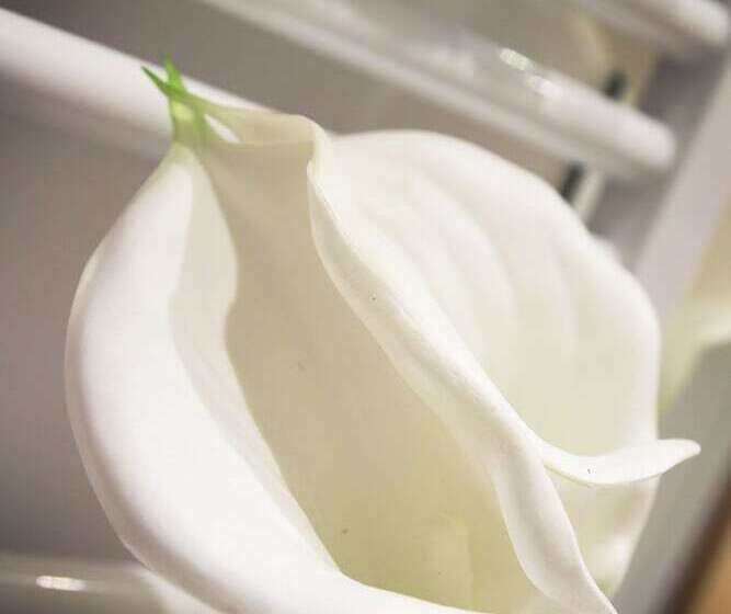 بنسيون Affittacamere Bellavista