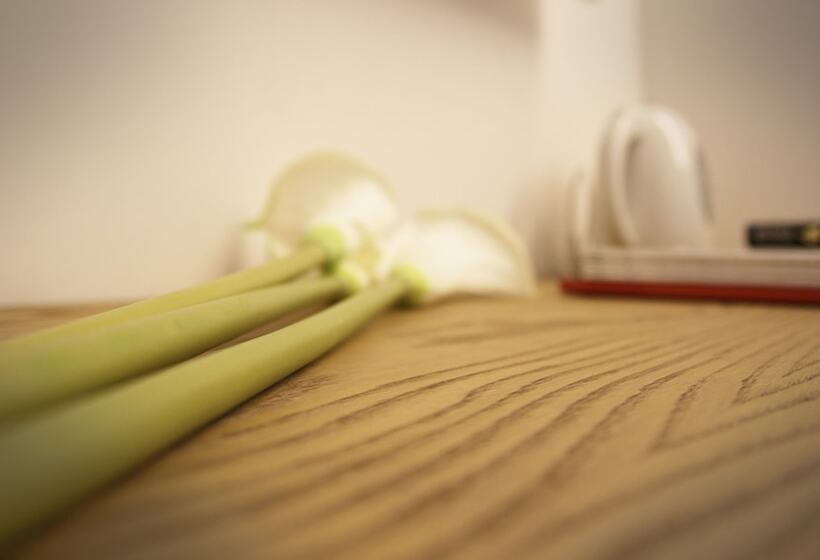 بنسيون Affittacamere Bellavista