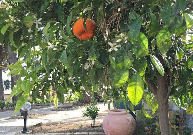 ペンション Don Giacchi Country House