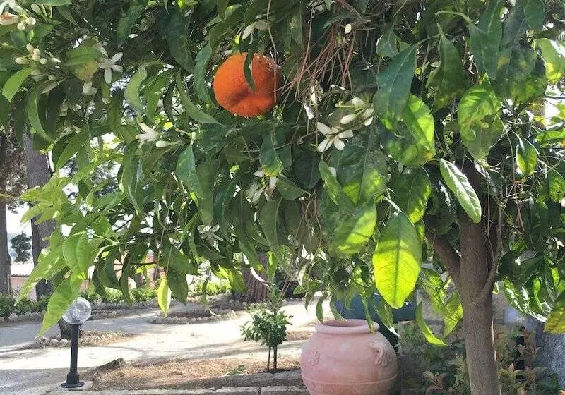 Majatalo Don Giacchi Country House