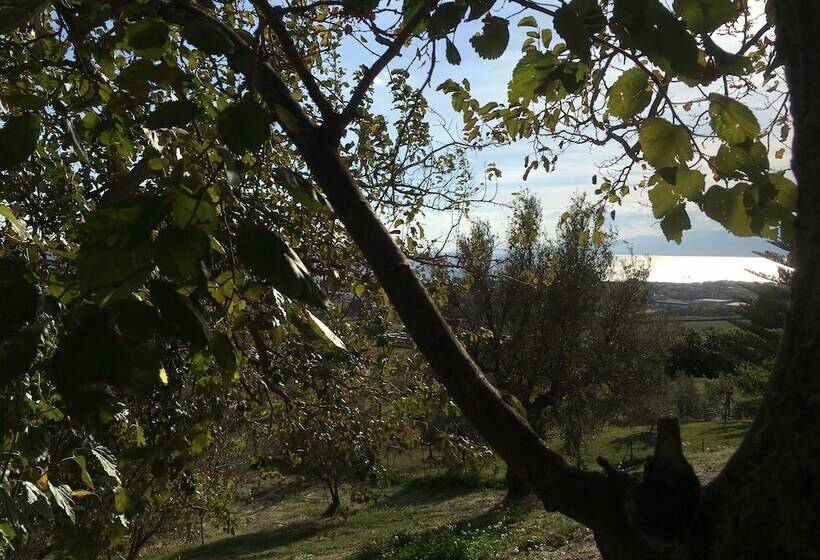 ペンション Don Giacchi Country House