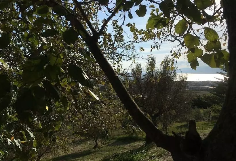 Majatalo Don Giacchi Country House