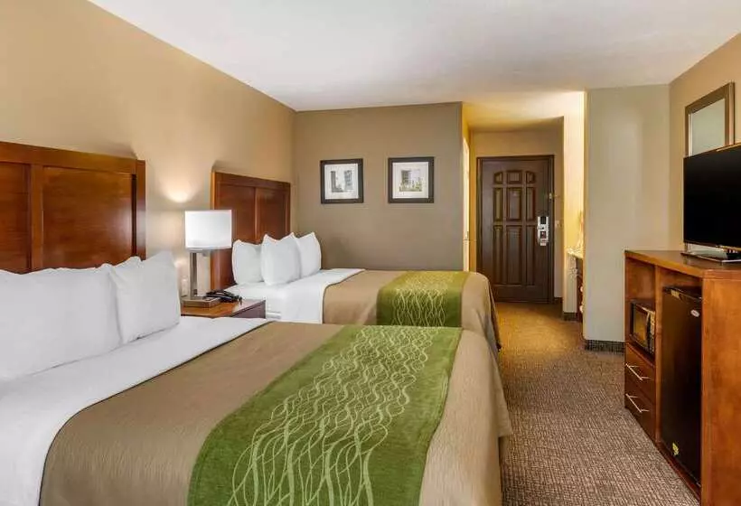 酒店 Comfort Inn & Suites El Centro I8