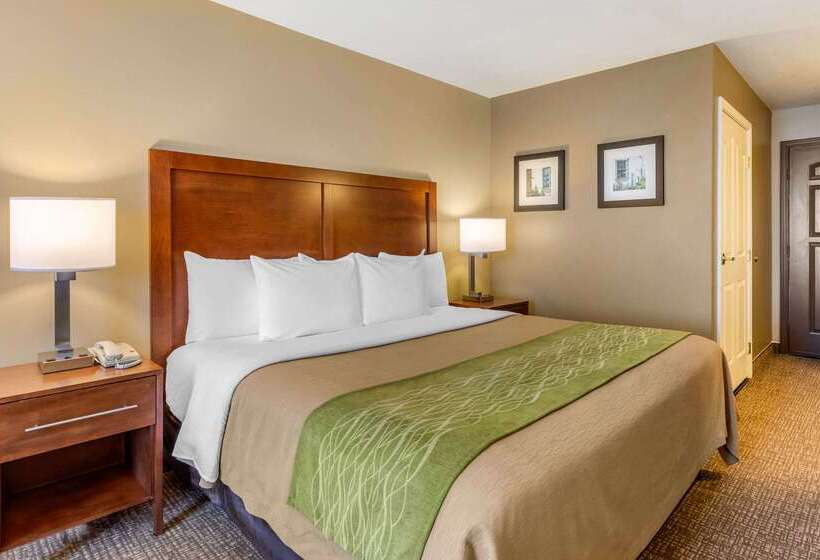 Отель Comfort Inn & Suites El Centro I8