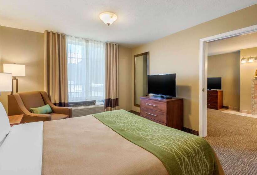 Отель Comfort Inn & Suites El Centro I8