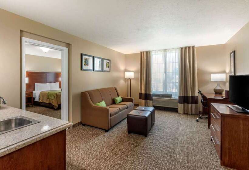 Отель Comfort Inn & Suites El Centro I8