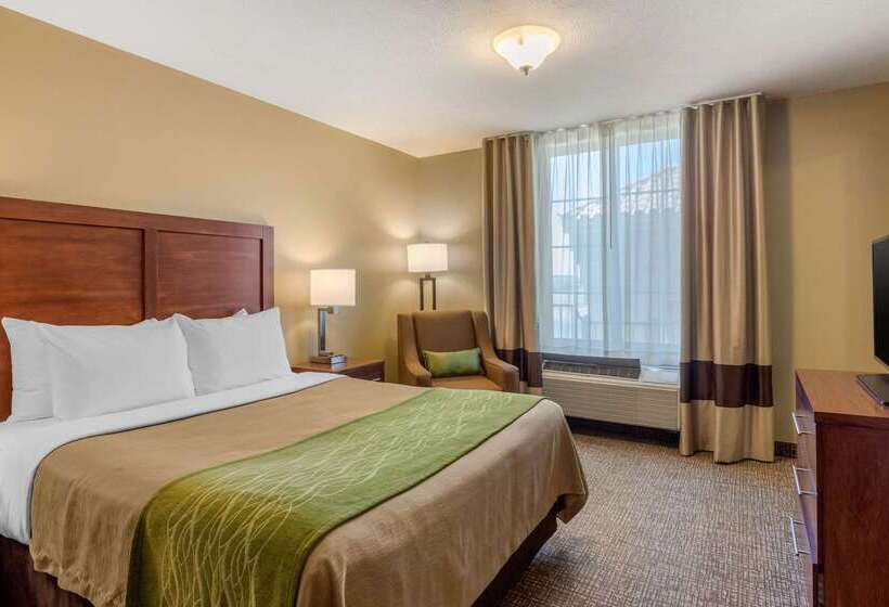 Отель Comfort Inn & Suites El Centro I8