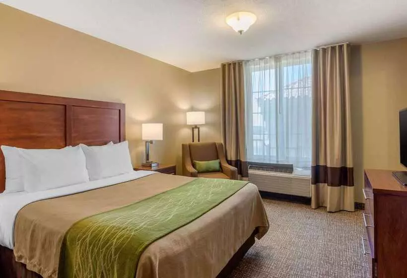 酒店 Comfort Inn & Suites El Centro I8