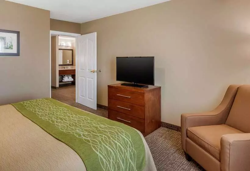 酒店 Comfort Inn & Suites El Centro I8