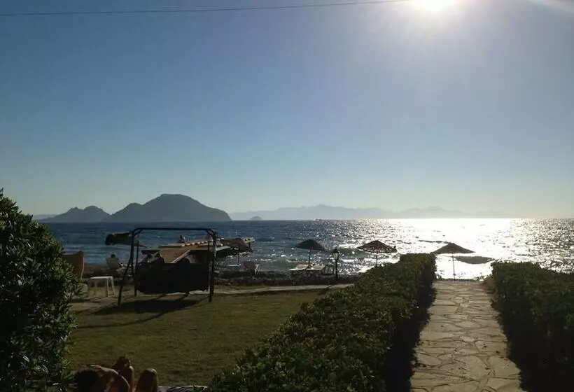 호텔 Sun And Sea Beach