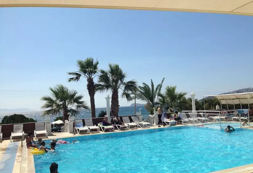 호텔 Sun And Sea Beach