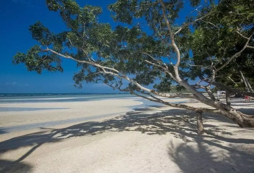 Tui Blue The Passage Samui Pool Villas With Private Beach Resort