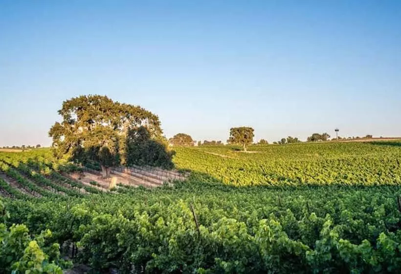 ベッドアンドブレックファースト Chateau Robles  Vineyard English Garden