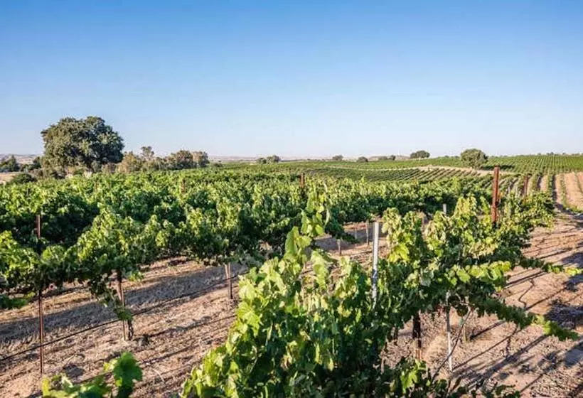 ベッドアンドブレックファースト Chateau Robles  Vineyard English Garden