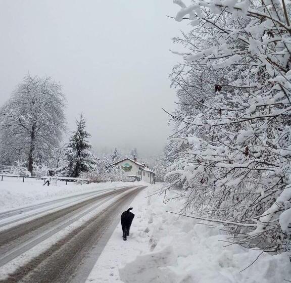 مبيت وإفطار Il Ciliegio Di Lurisia