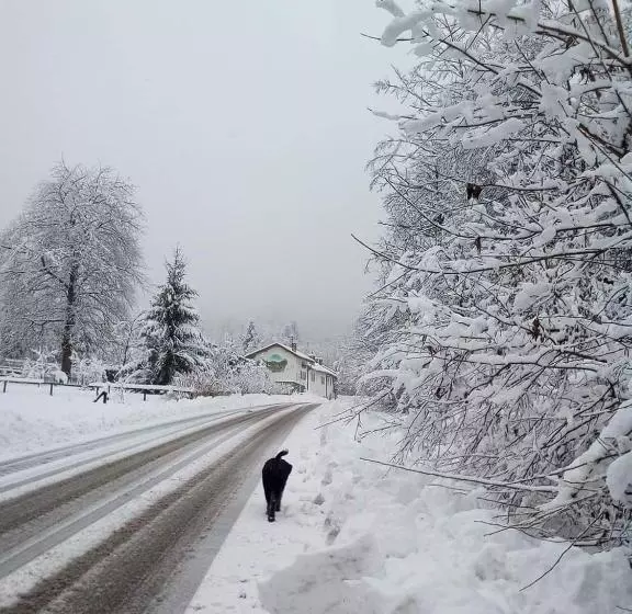 Aamiaismajoitus (B&B) Il Ciliegio Di Lurisia