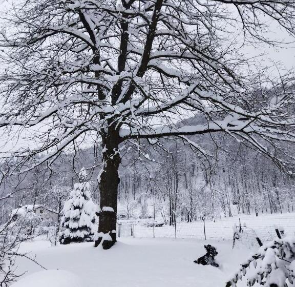مبيت وإفطار Il Ciliegio Di Lurisia