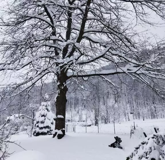 Aamiaismajoitus (B&B) Il Ciliegio Di Lurisia