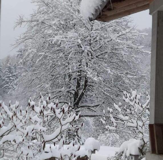 مبيت وإفطار Il Ciliegio Di Lurisia