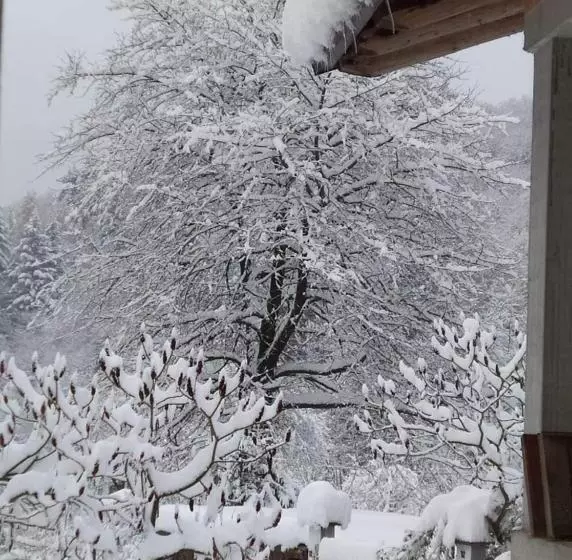 Aamiaismajoitus (B&B) Il Ciliegio Di Lurisia