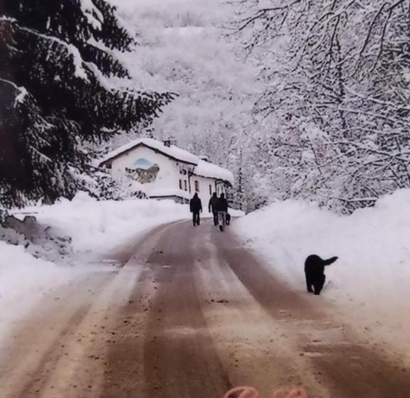 مبيت وإفطار Il Ciliegio Di Lurisia