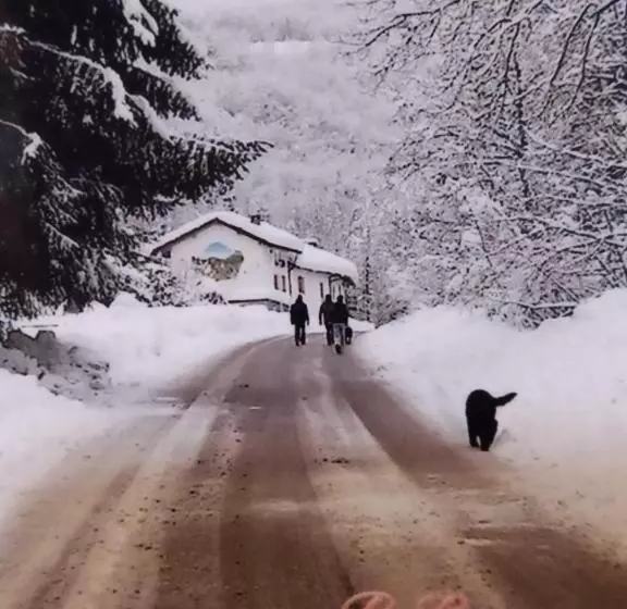 Aamiaismajoitus (B&B) Il Ciliegio Di Lurisia