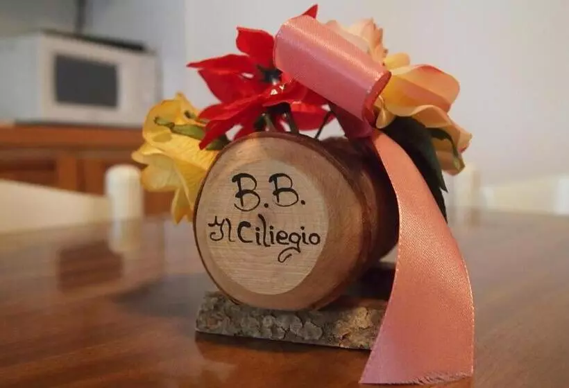 Aamiaismajoitus (B&B) Il Ciliegio Di Lurisia