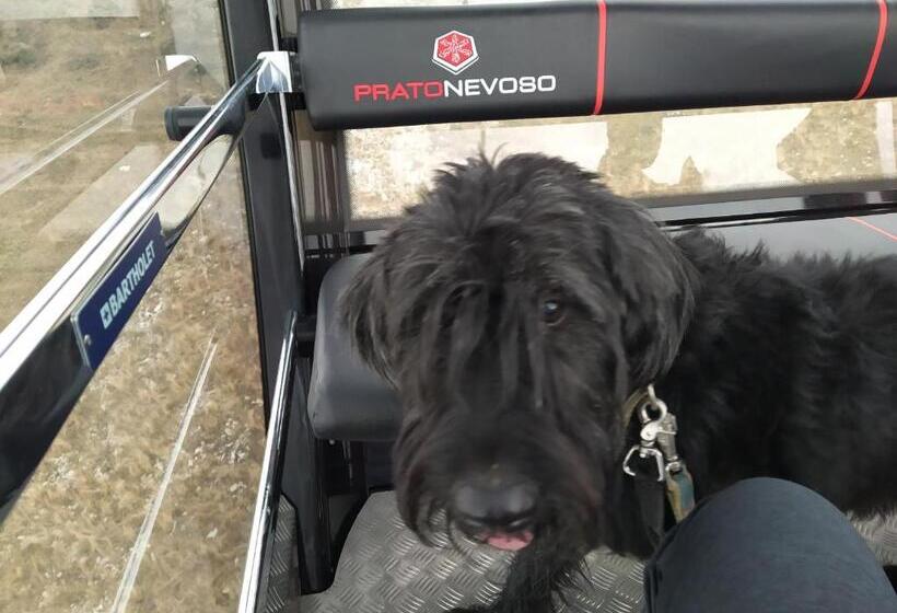 مبيت وإفطار Il Ciliegio Di Lurisia