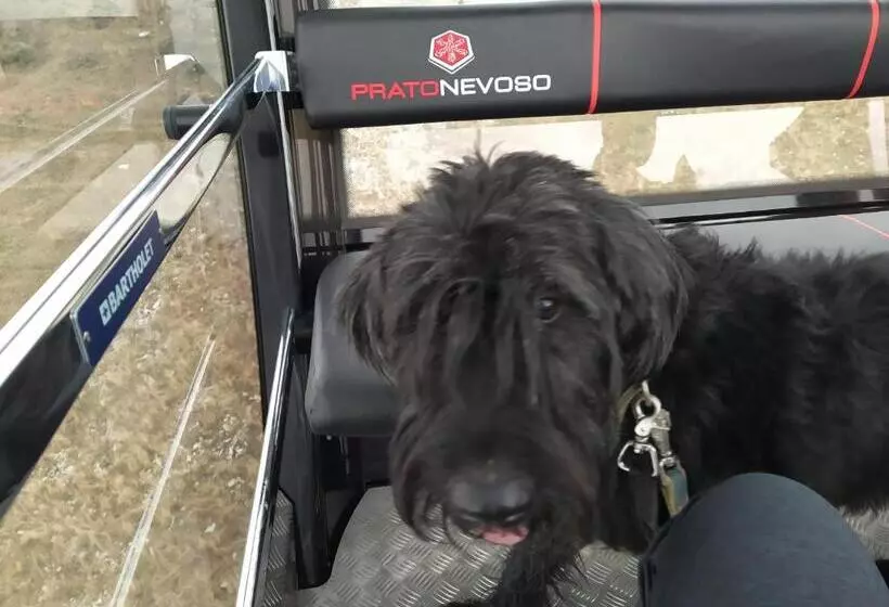 Aamiaismajoitus (B&B) Il Ciliegio Di Lurisia