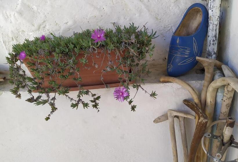 مبيت وإفطار Il Ciliegio Di Lurisia