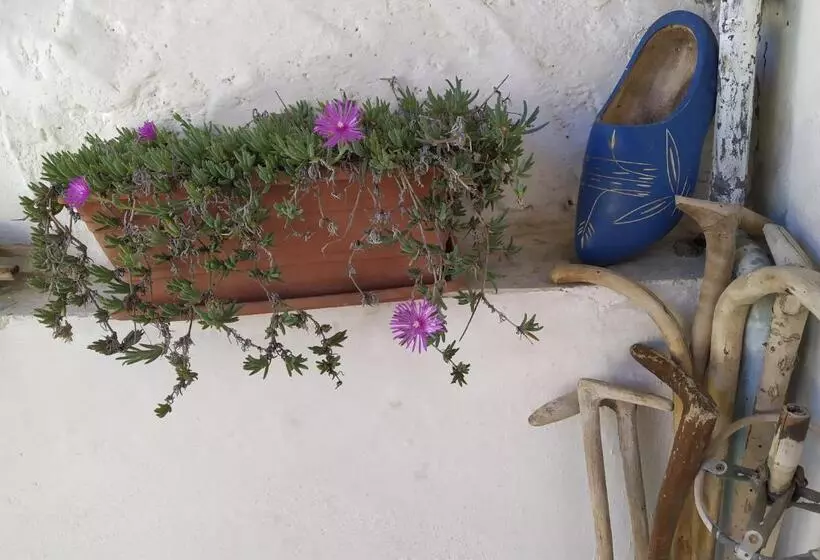 Aamiaismajoitus (B&B) Il Ciliegio Di Lurisia